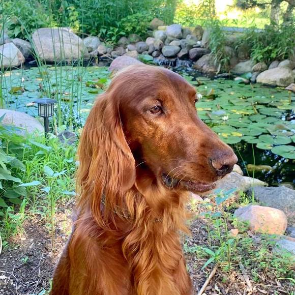 Meet your Posher, Kellie - Picture 1 of 1